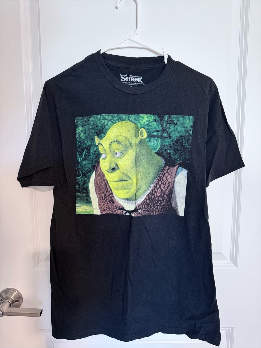 Shrek Hot Topic Graphic T-Shirt